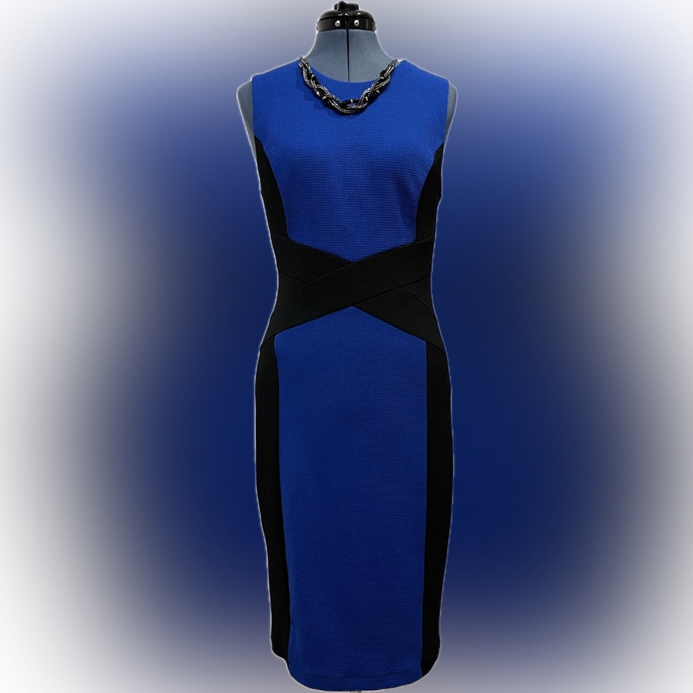 Ladies Bisou Bisou figure flattering dress